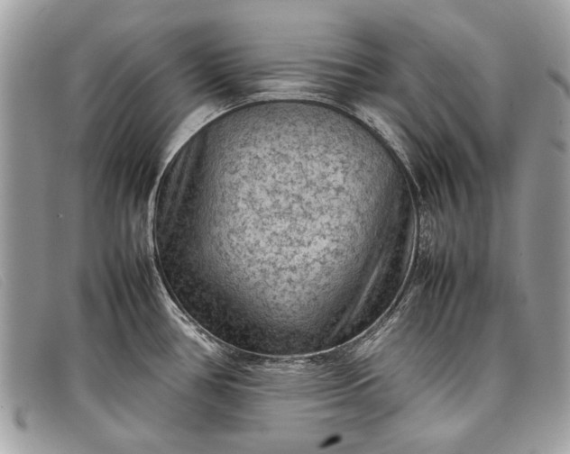 X0000098021386200804111247