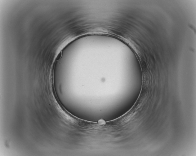 X0000098021387200804111247