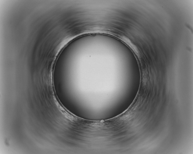 X0000098021388200804111247