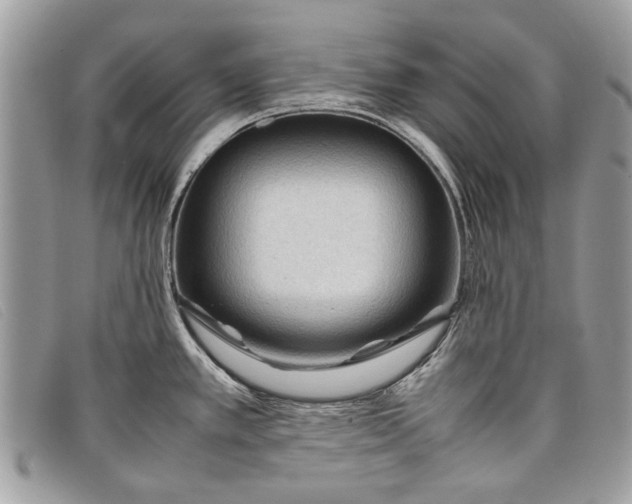 X0000098021389200804111247