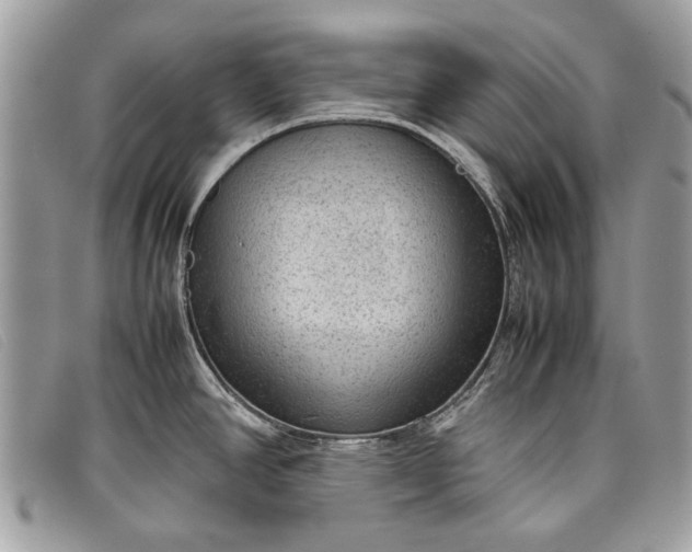 X0000098021390200804111247