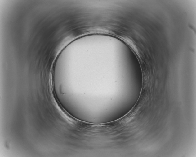 X0000098021391200804111247