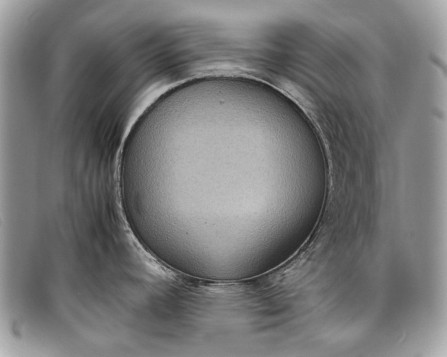 X0000098021392200804111247