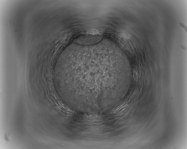 X0000098021393200804111246