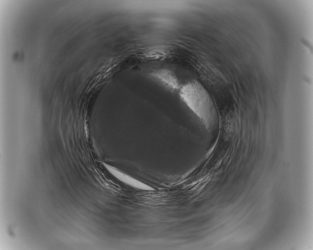 X0000098021394200804111246