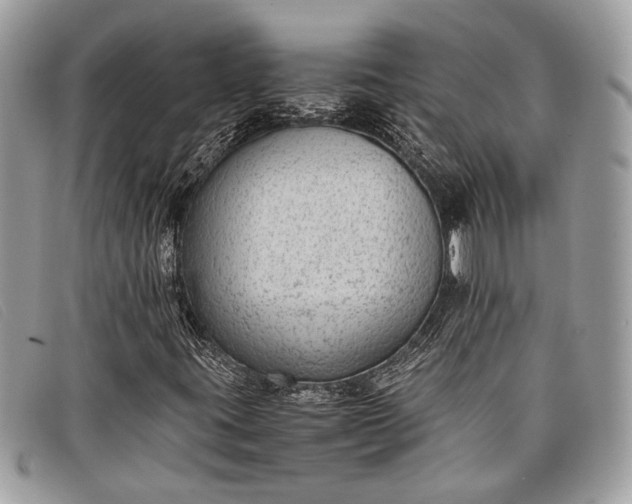 X0000098021395200804111246