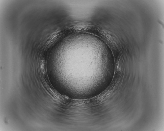 X0000098021396200804111246