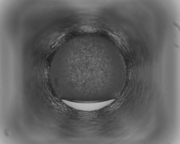 X0000098021397200804111246