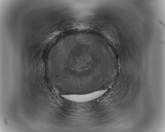 X0000098021398200804111246