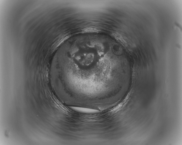 X0000098021401200804111246