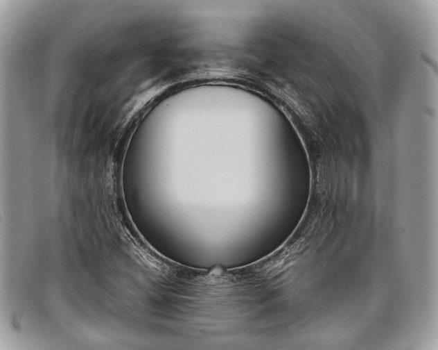 X0000098021404200804111246