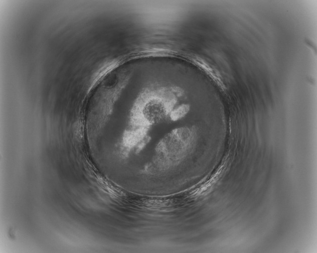 X0000098021405200804111246