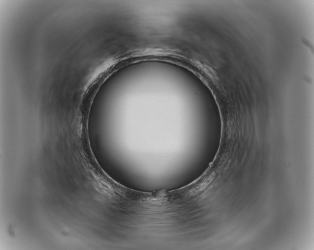 X0000098021406200804111246