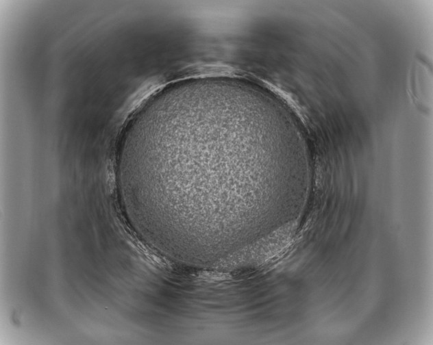 X0000098021407200804111246