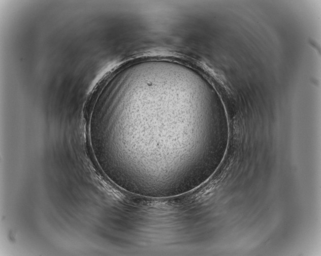 X0000098021408200804111246