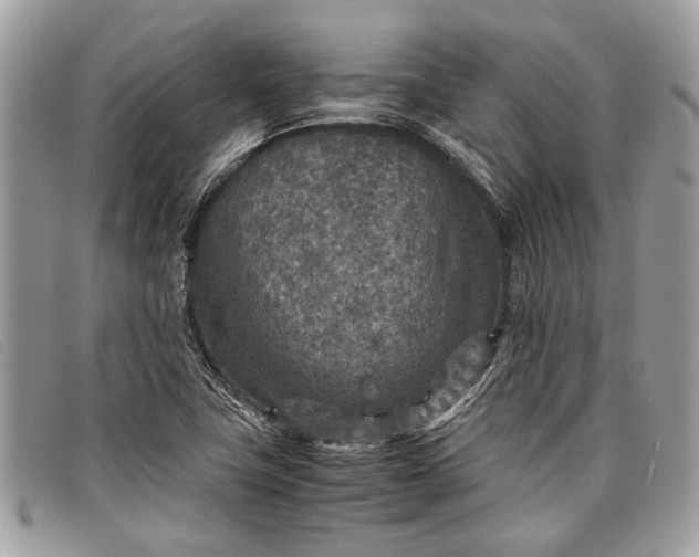 X0000098021411200804111246