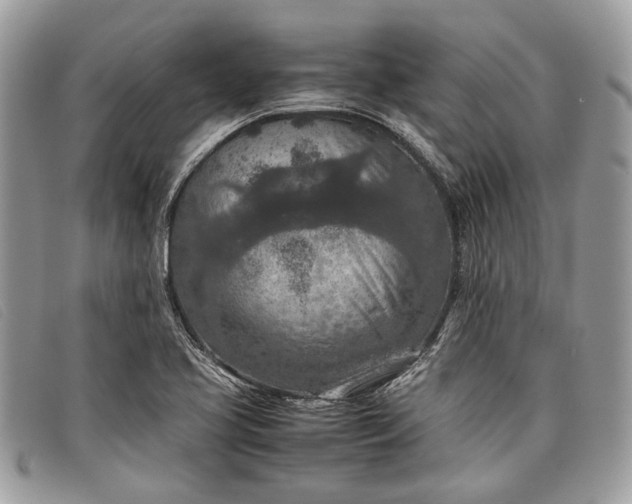 X0000098021413200804111246