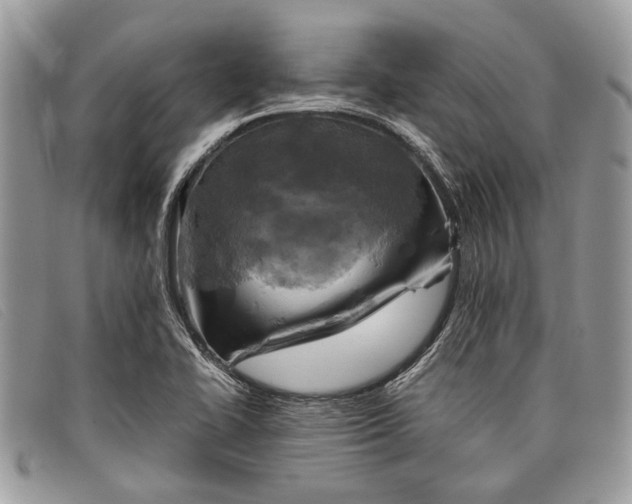 X0000098021414200804111246