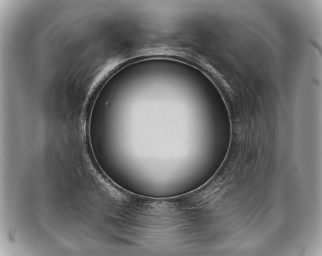 X0000098021416200804111246