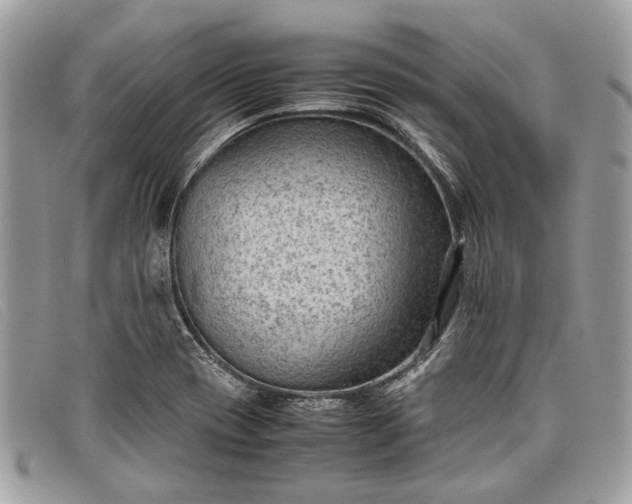 X0000098021417200804111246