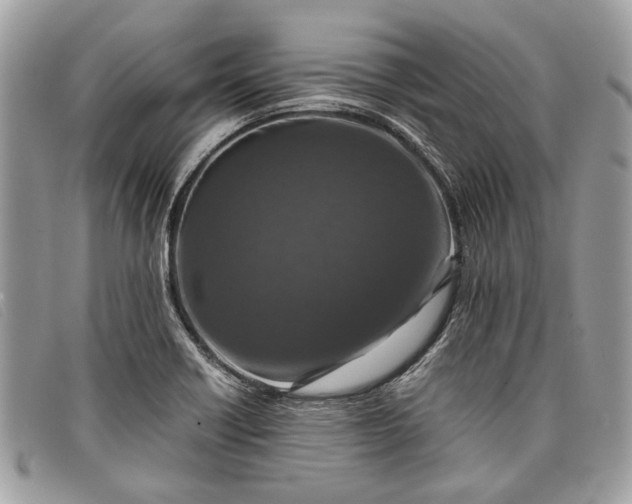 X0000098021418200804111246