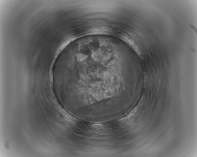 X0000098021419200804111246