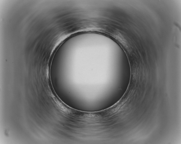 X0000098021420200804111246