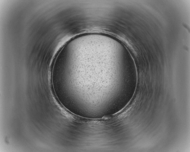 X0000098021424200804111246