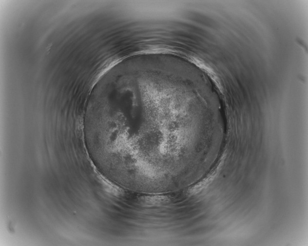 X0000098021425200804111246