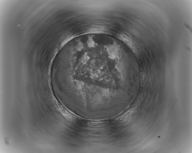 X0000098021427200804111246