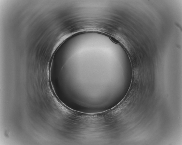 X0000098021428200804111246