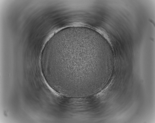 X0000098021429200804111246