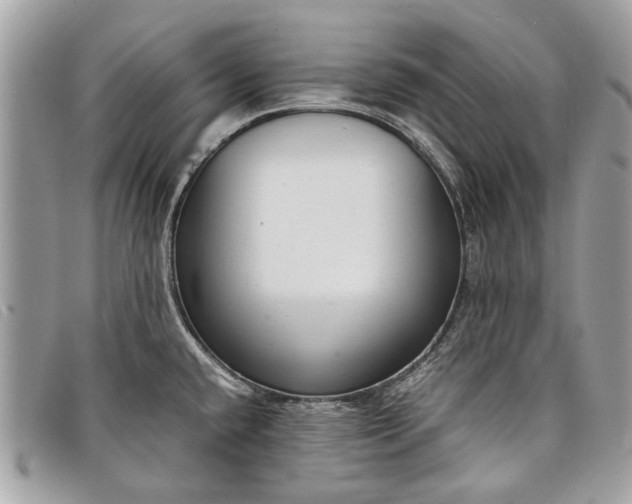 X0000098021432200804111246