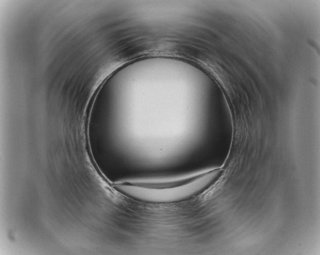 X0000098021434200804111246