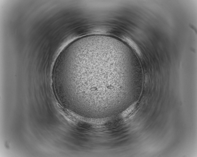 X0000098021435200804111246