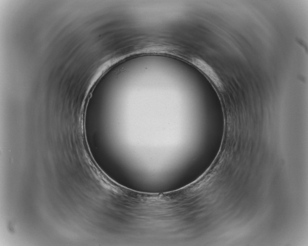 X0000098021436200804111246