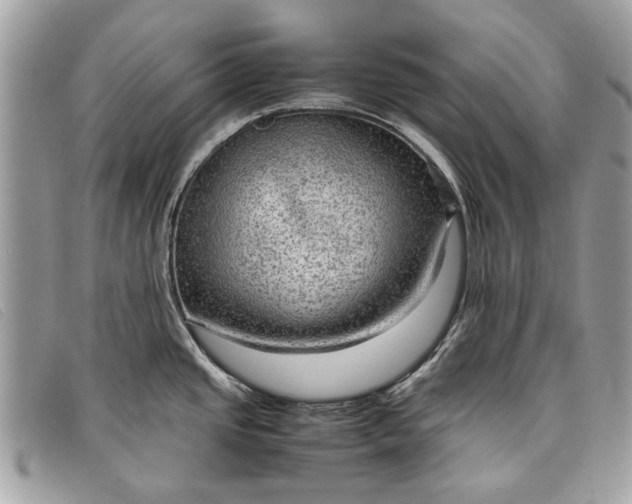 X0000098021437200804111246