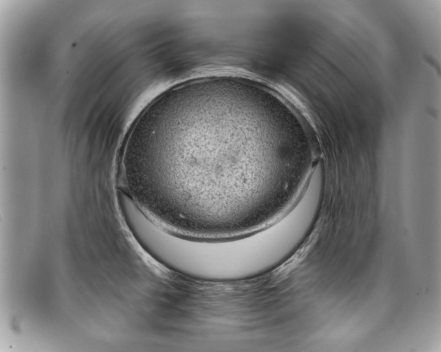 X0000098021438200804111247