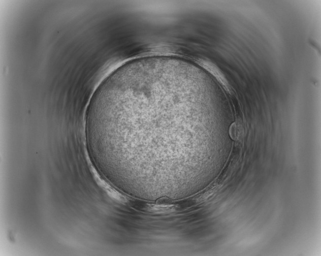 X0000098021439200804111247