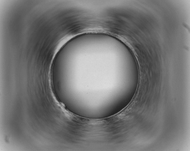 X0000098021440200804111247