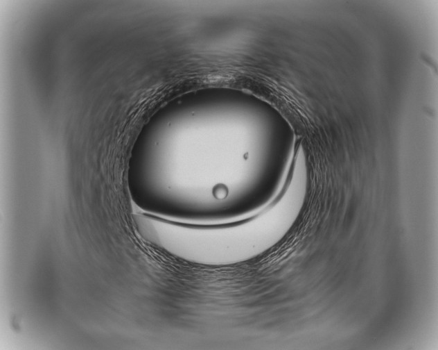 X0000098021441200804111246