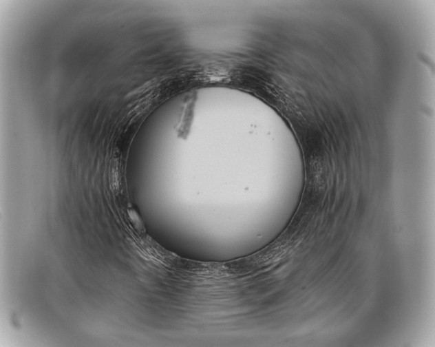 X0000098021442200804111246