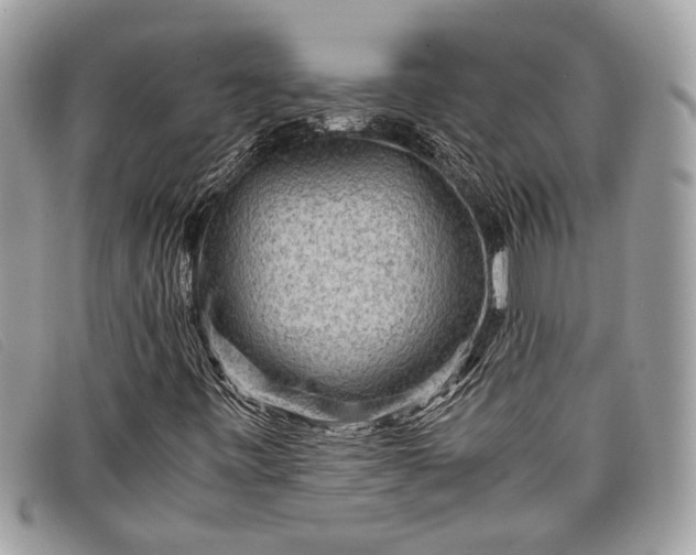 X0000098021443200804111246