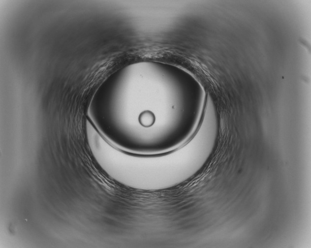 X0000098021444200804111246