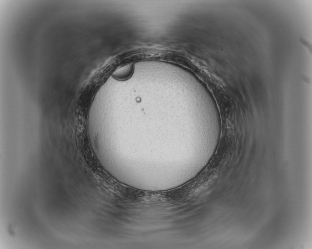 X0000098021447200804111246