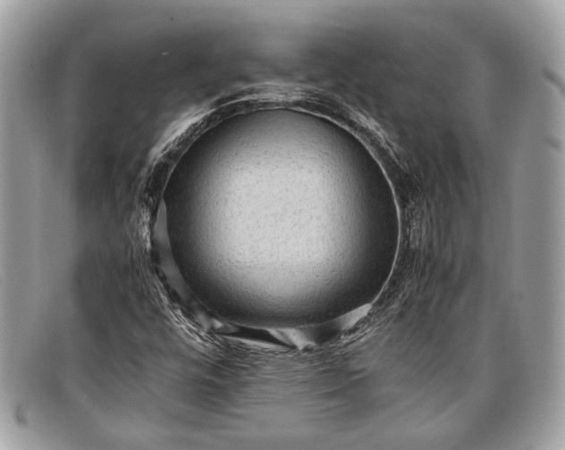 X0000098021448200804111246