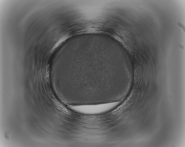 X0000098021450200804111246