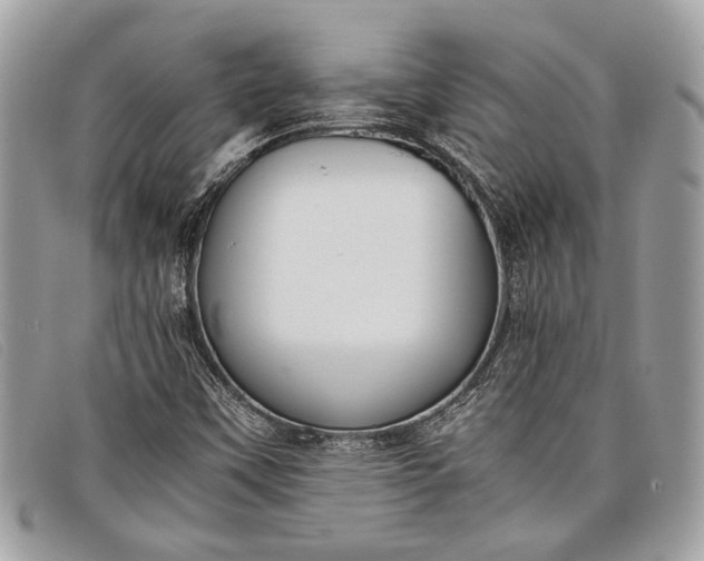 X0000098021451200804111246