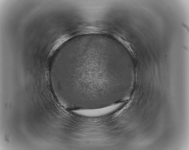 X0000098021453200804111246