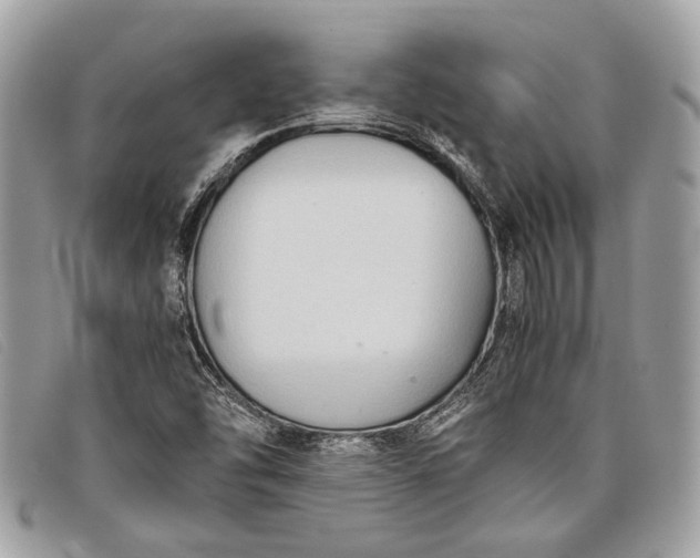 X0000098021454200804111246